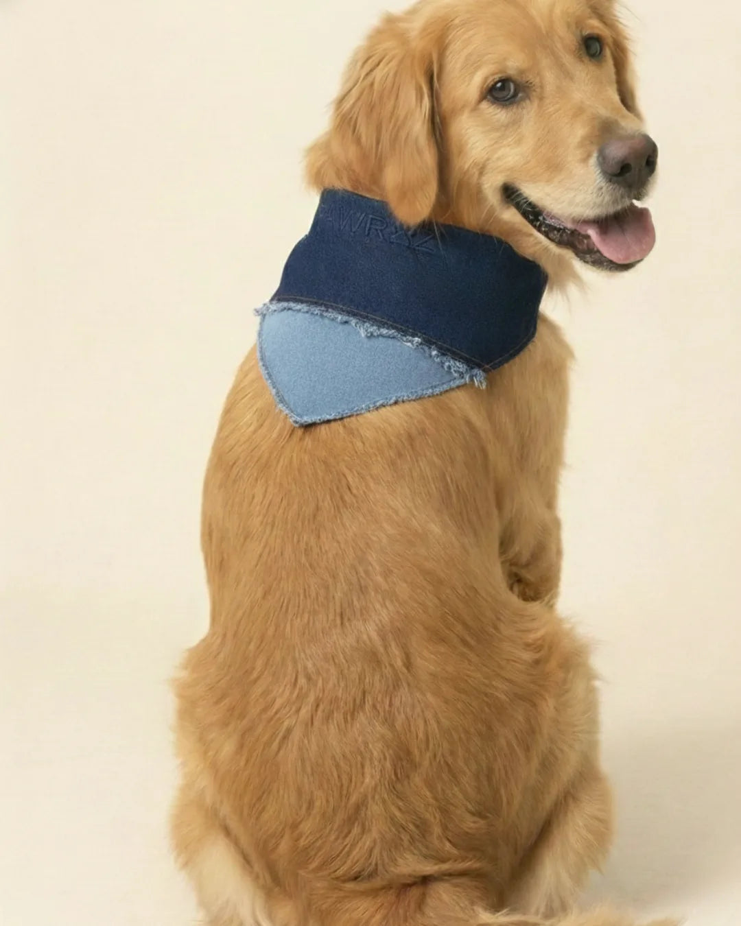 Dog wearing PAWROZ two-tone denim bandana