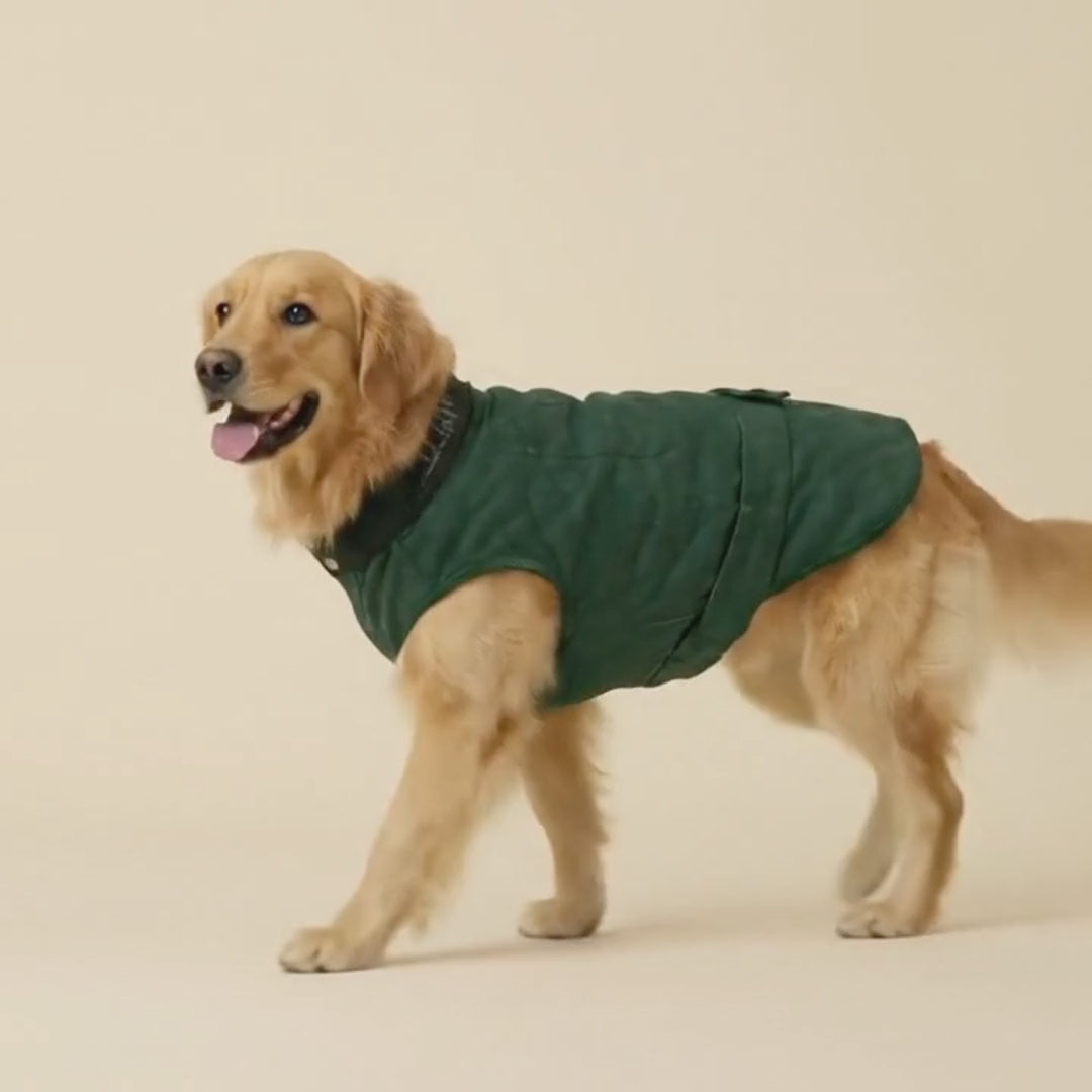 Green Washed Collar Detail Dog Jacket