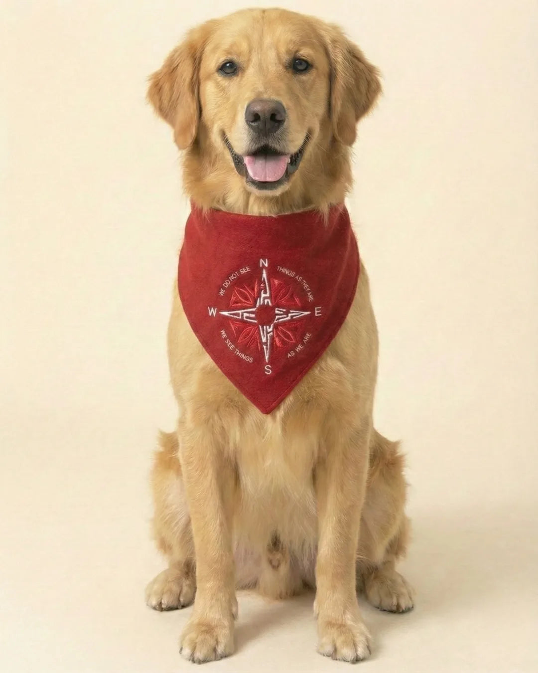 Dog wearing PAWROZ red bandana